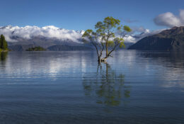 New Zealand 2025 (2 group) (48/84)